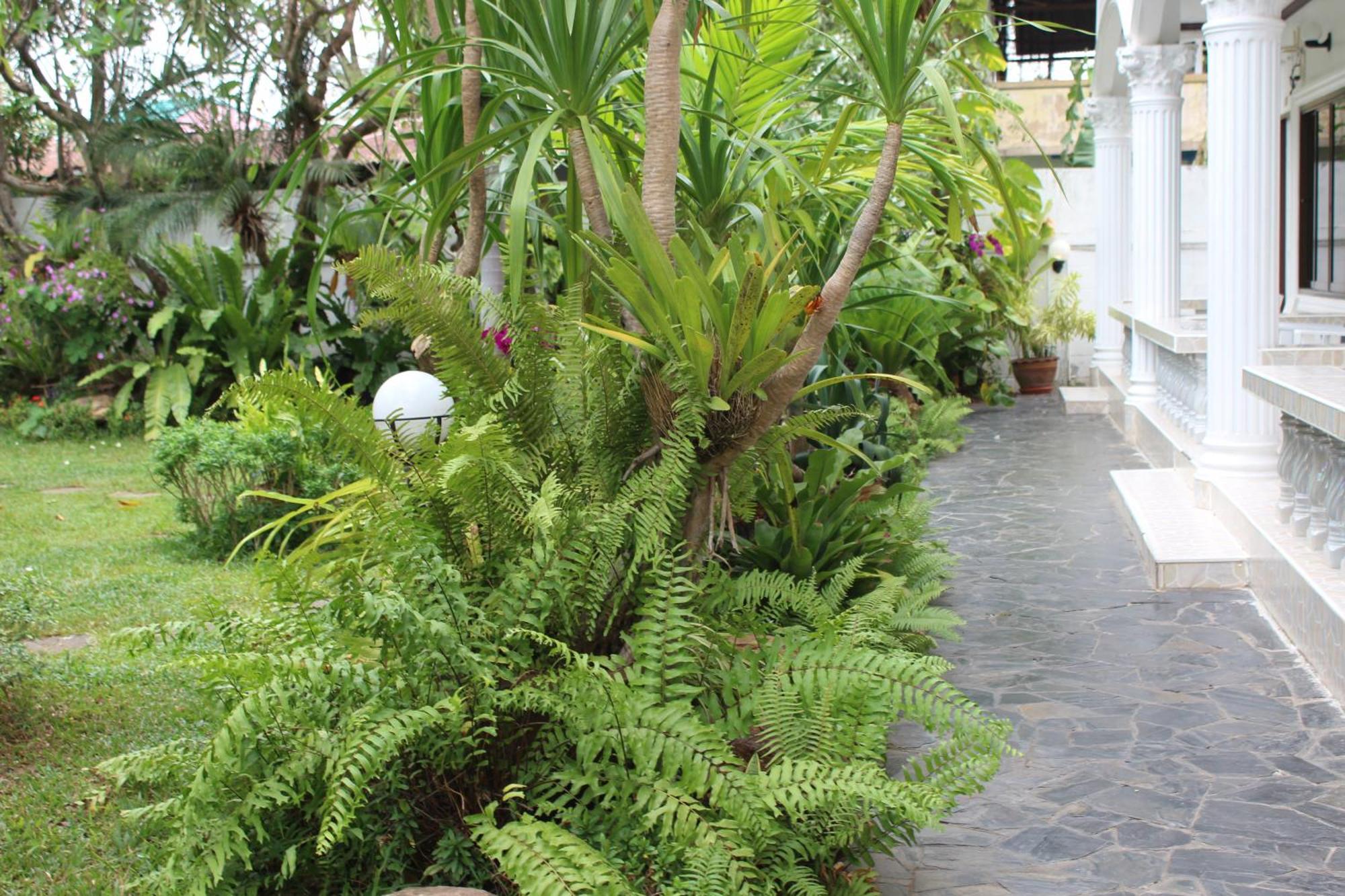 White Elephant Resort Surin Exterior foto