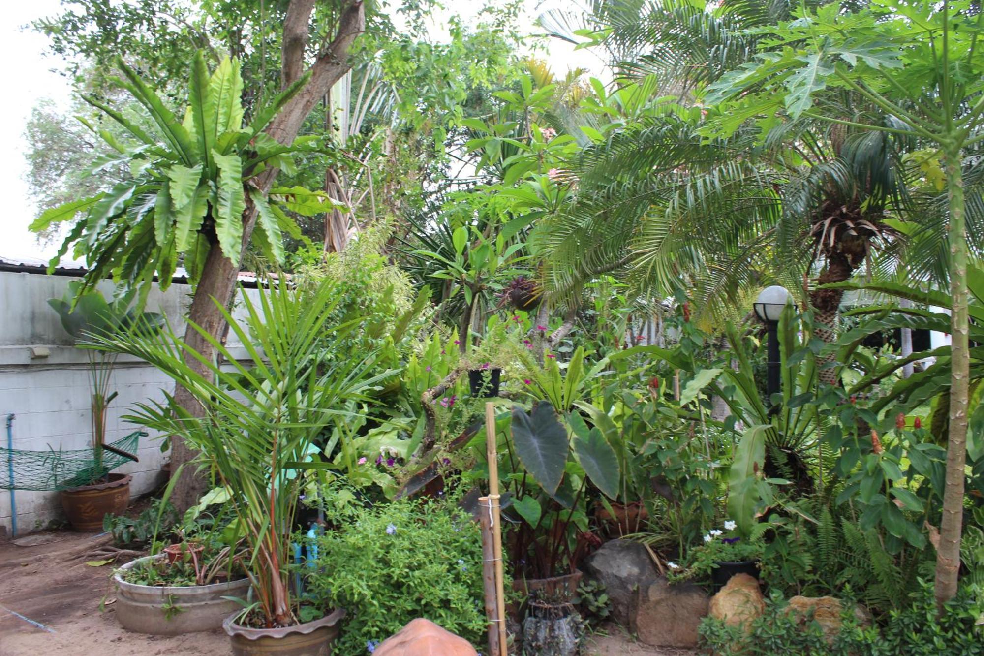 White Elephant Resort Surin Exterior foto